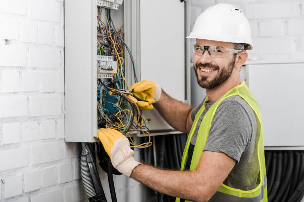 Best Home Electrical Repair  in Alorton, IL