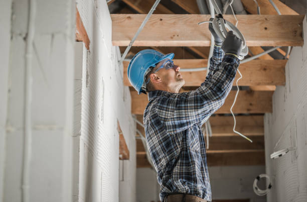 Best Licensed Electrician  in Alorton, IL