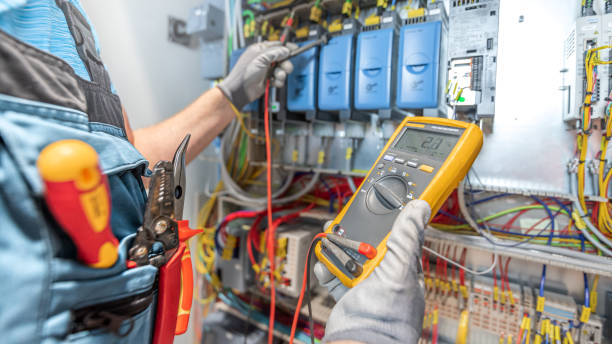 Best Electric Panel Repair  in Alorton, IL