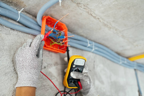 Best Ceiling Fan Installation Electrician  in Alorton, IL