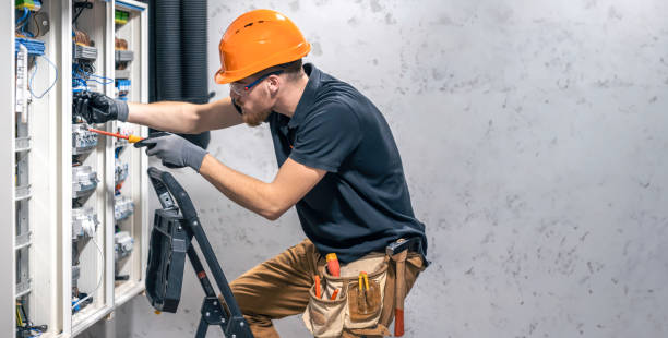Best Electrical System Inspection  in Alorton, IL