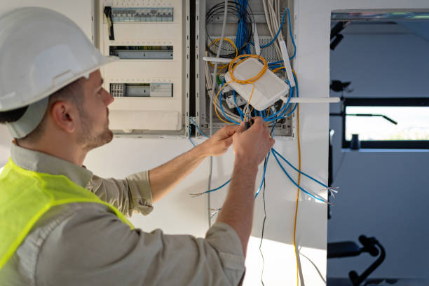 Best Ceiling Fan Installation Electrician  in Alorton, IL